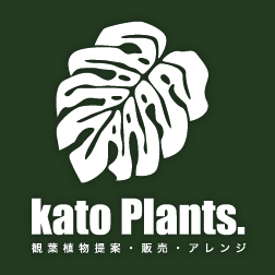 kato Plants. l 刈谷市の観葉植物専門店