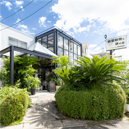 Plants Shop Bouquet - 名古屋市天白区の観葉植物専門店　プランツショップブーケ