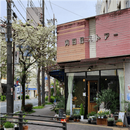 Calm植物店